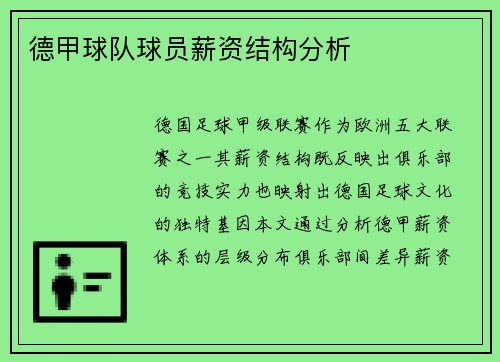 德甲球队球员薪资结构分析