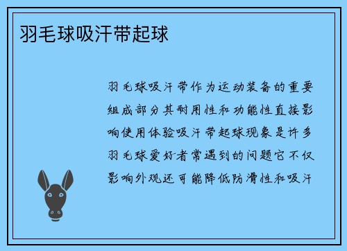 羽毛球吸汗带起球